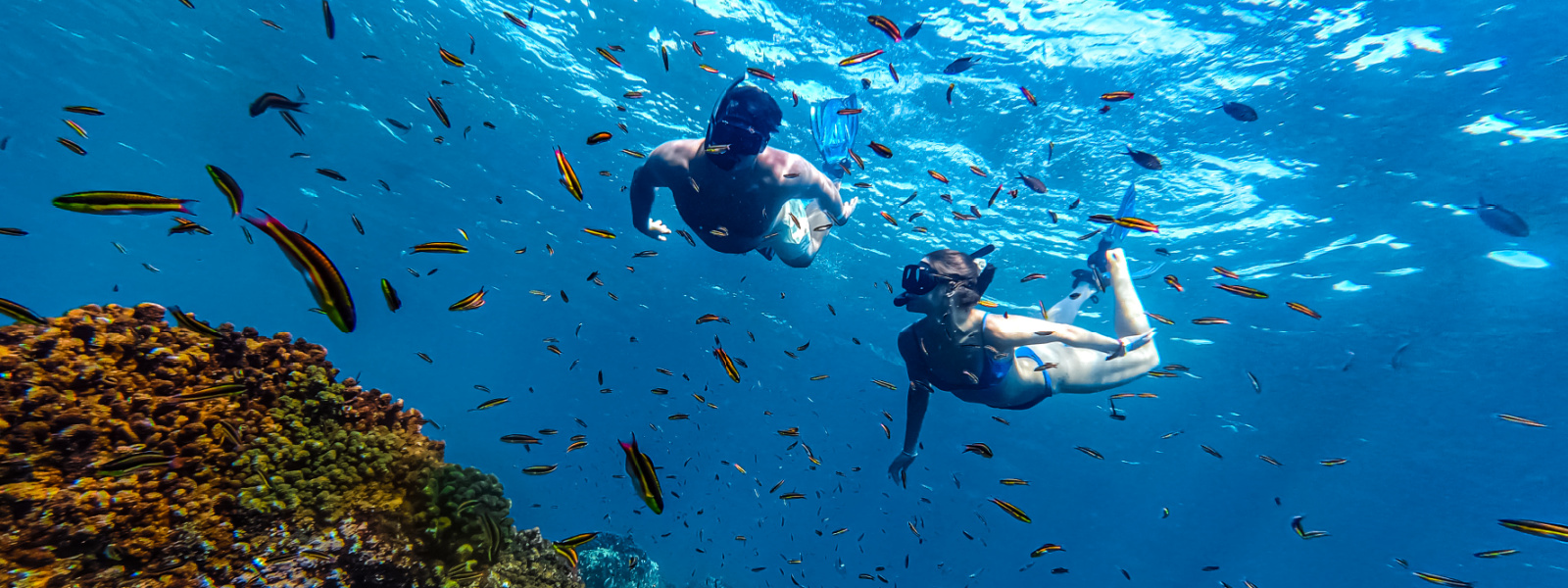 Snorkeling in Los Cabos