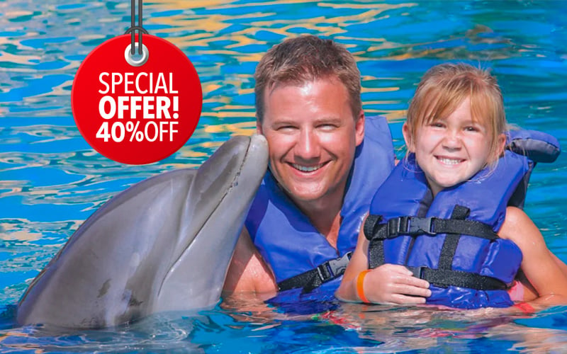 Meet a dolphin  | Vallarta Adventures |