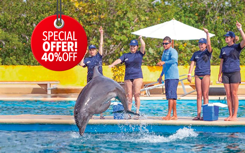 Entrenador de delfines por un día con Vallarta Adventures 2|