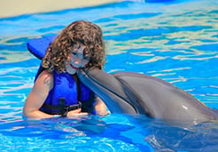 Children swim with dolphins in Puerto Vallarta | Swim with dolphins in Puerto Vallarta | Vallarta Adventures