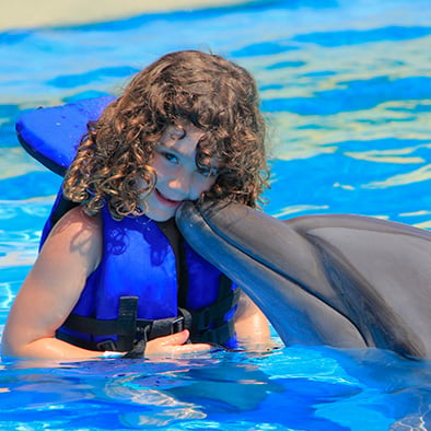 Children swim with dolphins in Puerto Vallarta | Swim with dolphins in Puerto Vallarta | Vallarta Adventures