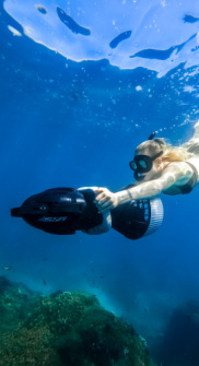 Snorkeling y Deportes Acuáticos con Cabo Adventures 4