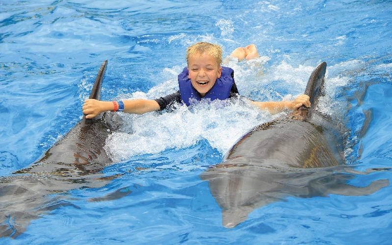 Family with dolphin in Puerto Vallarta  | Vallarta Adventures|