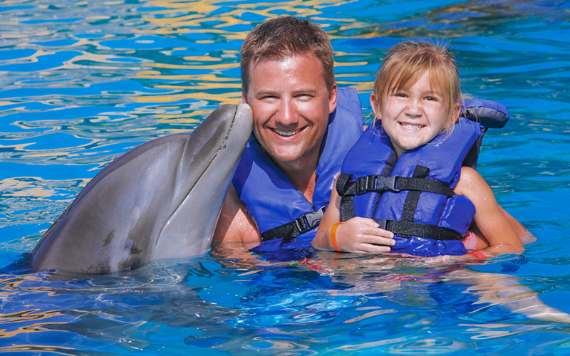 Encuentro con Delfines en Vallarta con Vallarta Adventures 1|
