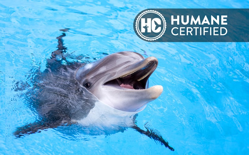 Vallarta Adventures' Marine Mammal Center is Humane Certified™