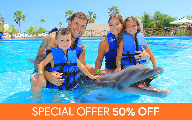 Book Today To Save 10 USD in any of our Dolphin Swim Programs.