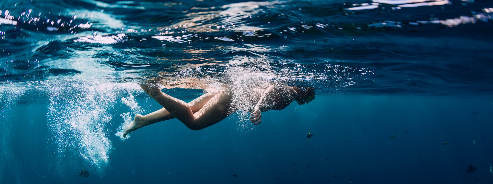 snorkeling and sailing tour in cabo 