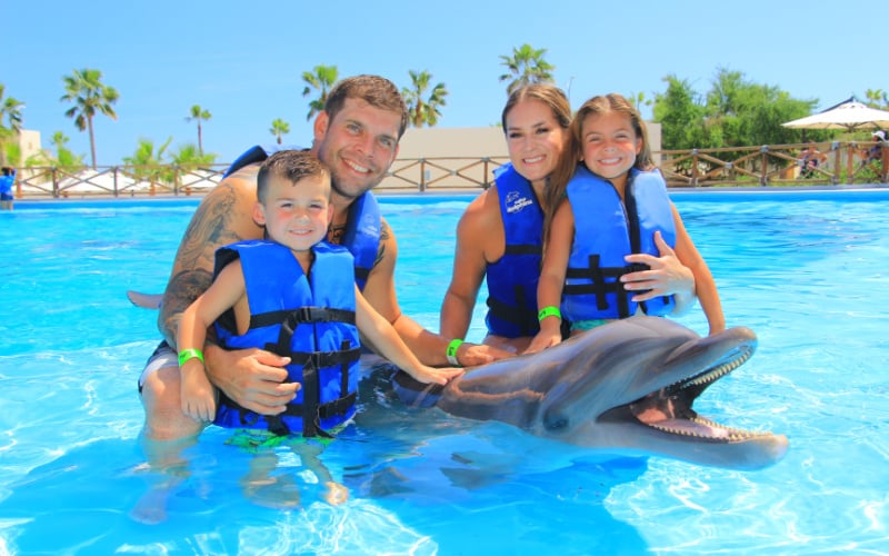 dolphin family encounter|dolphin family encounter