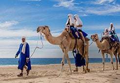 Cabo Camel ride