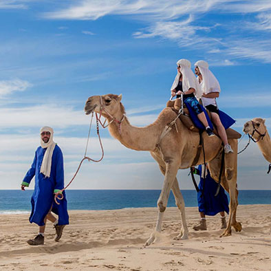 Cabo Camel tour 