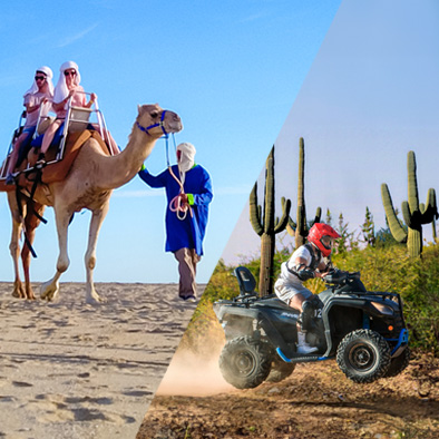 Camel ride and atv ride in cabo