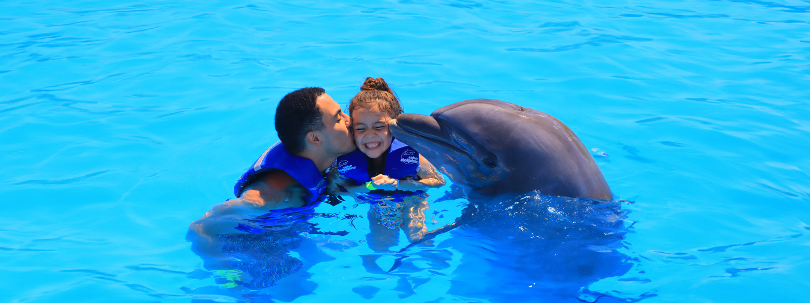 Live a wonderful experience with dolphins in Cabo