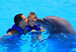 Experience with dolphins in Cabo