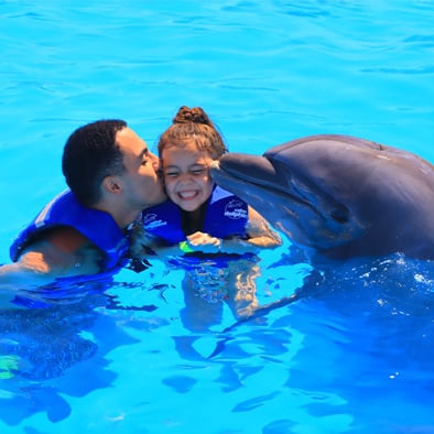 Experience with dolphins in Cabo