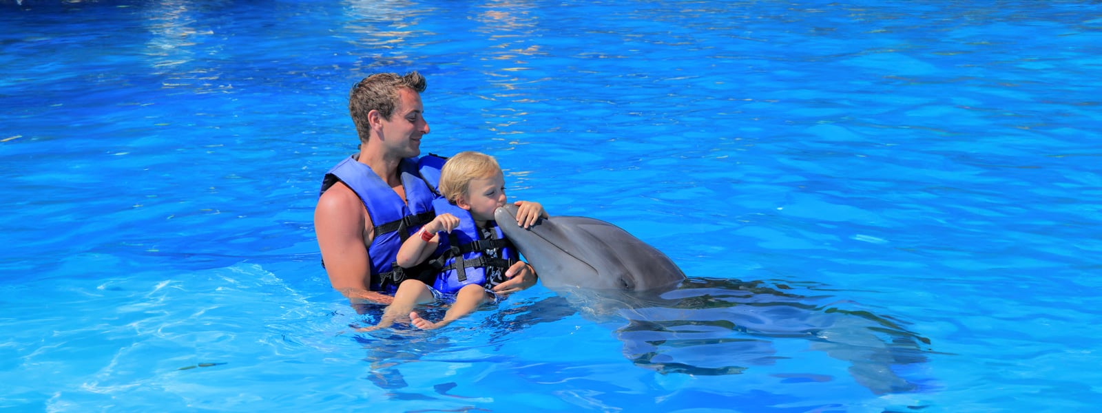 children swim with dolphis puerto vallarta