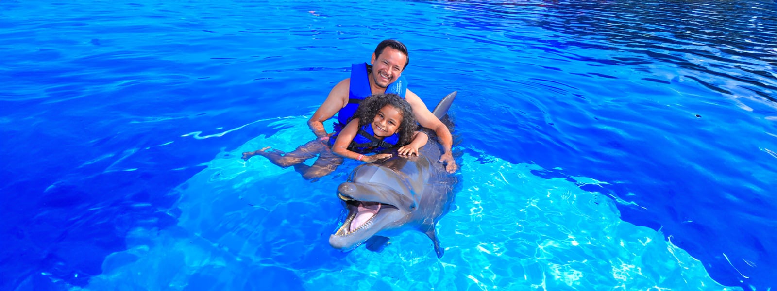 family dolphin encounter