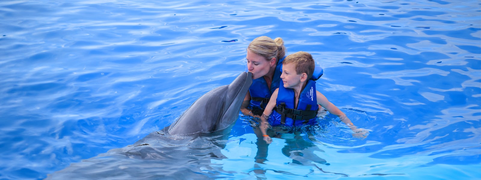 family interaction with dolphins