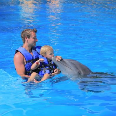 family swim with dolphins vallarta