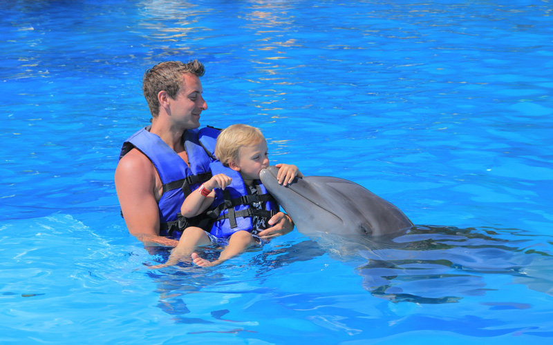 family swim with dolphins vallarta|
