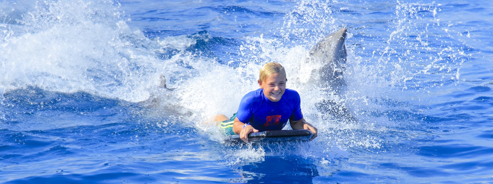 puerto vallarta dolphin ride on a boogie board
