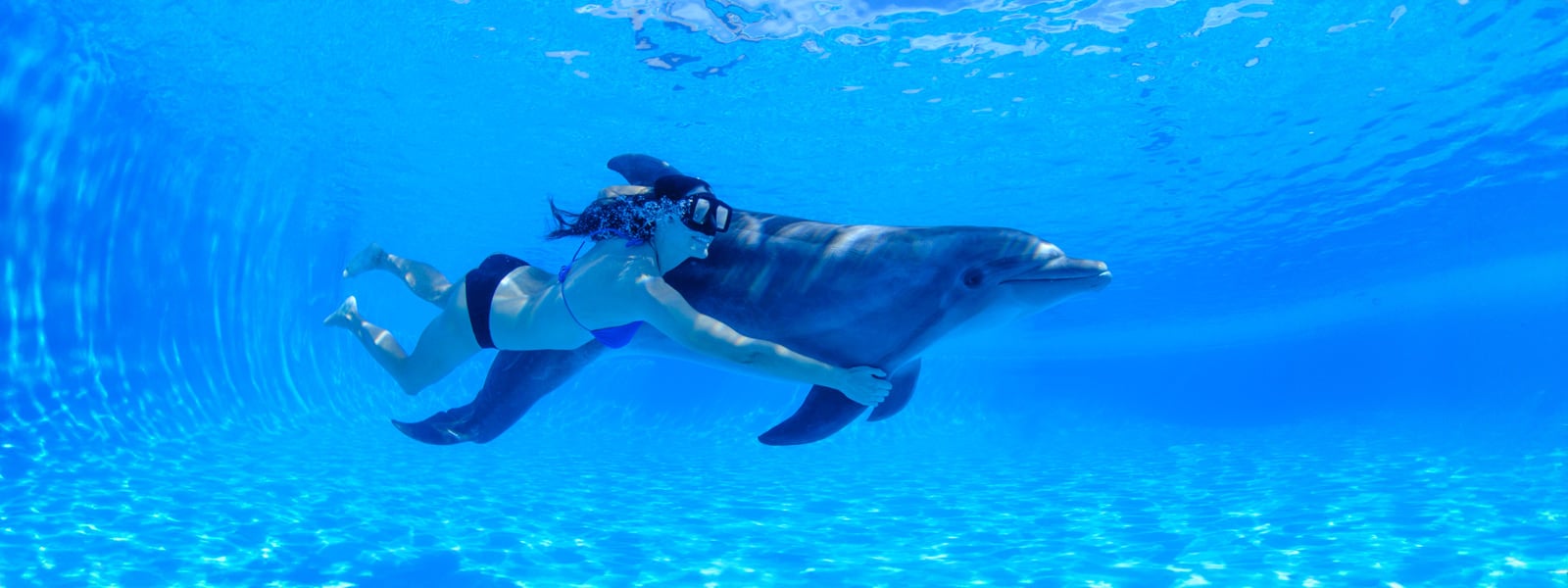 Underwater dolphin ride with Vallarta Adventures | Vallarta Adventures