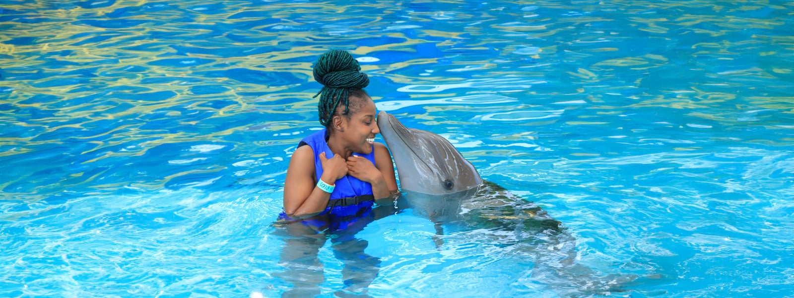 play with dolphins in vallarta