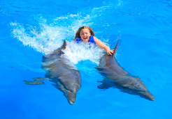 puerto vallarta dolphin swim