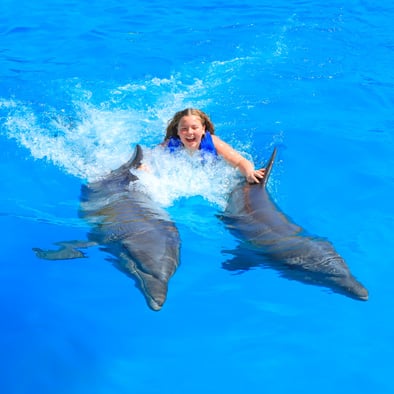 Dolphin Kids: Dolphin Swimming and Activities | Vallarta Adventures
