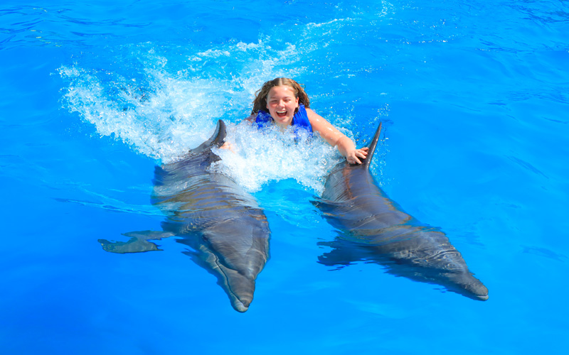puerto vallarta dolphin swim|