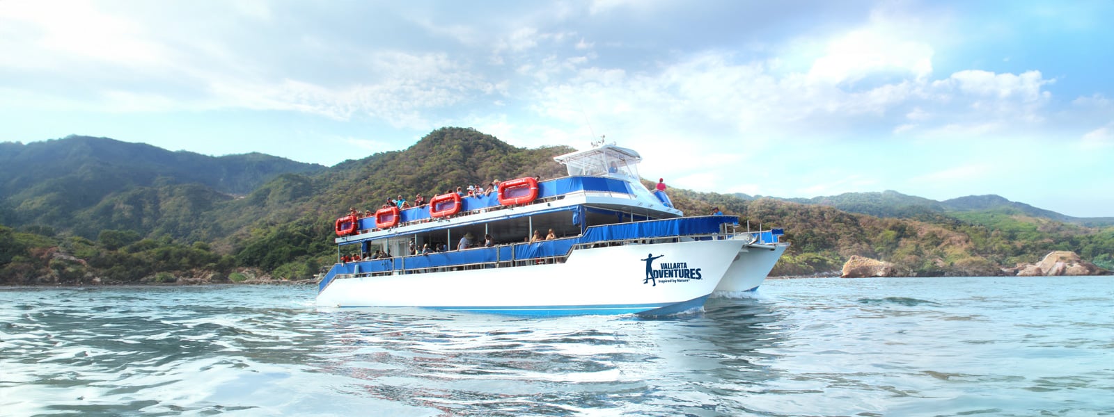 boat whale watching puerto vallarta