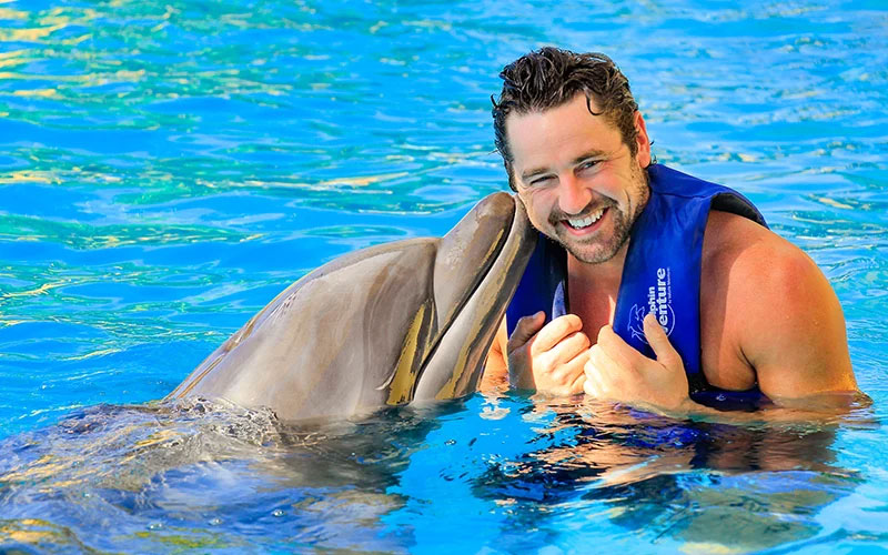 Dolphin Adventure in Mexico | Vallarta Adventures|