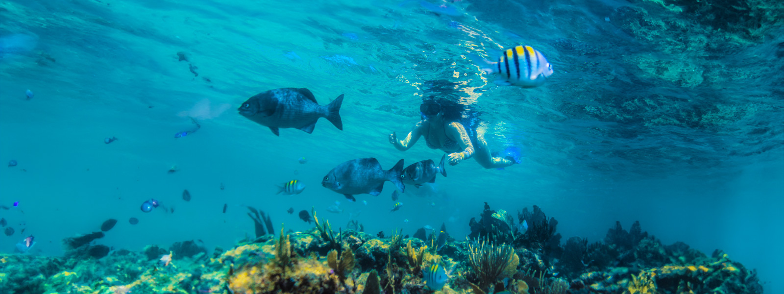 Sailing & Snorkeling - Only Adults