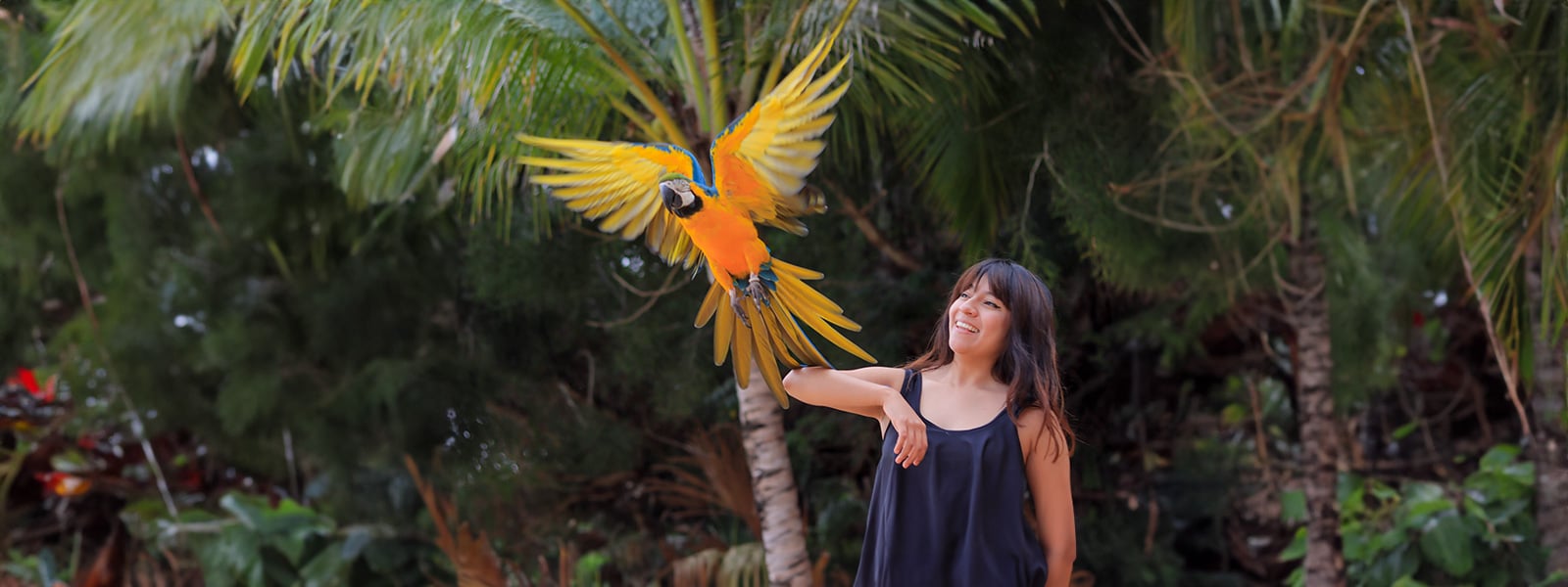 animal encounter at Las Caletas macaws Puerto Vallarta