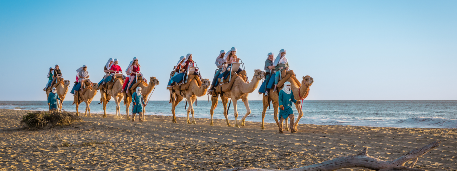 Camel ride in Los Cabos by the Pacific Ocean