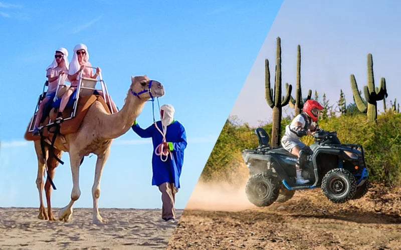 Camels + ATV + Lunch|