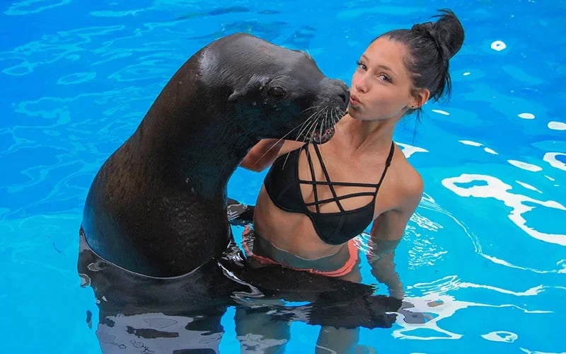 Photo with a sea lion | Dolphin Adventure | Vallarta Adventures|