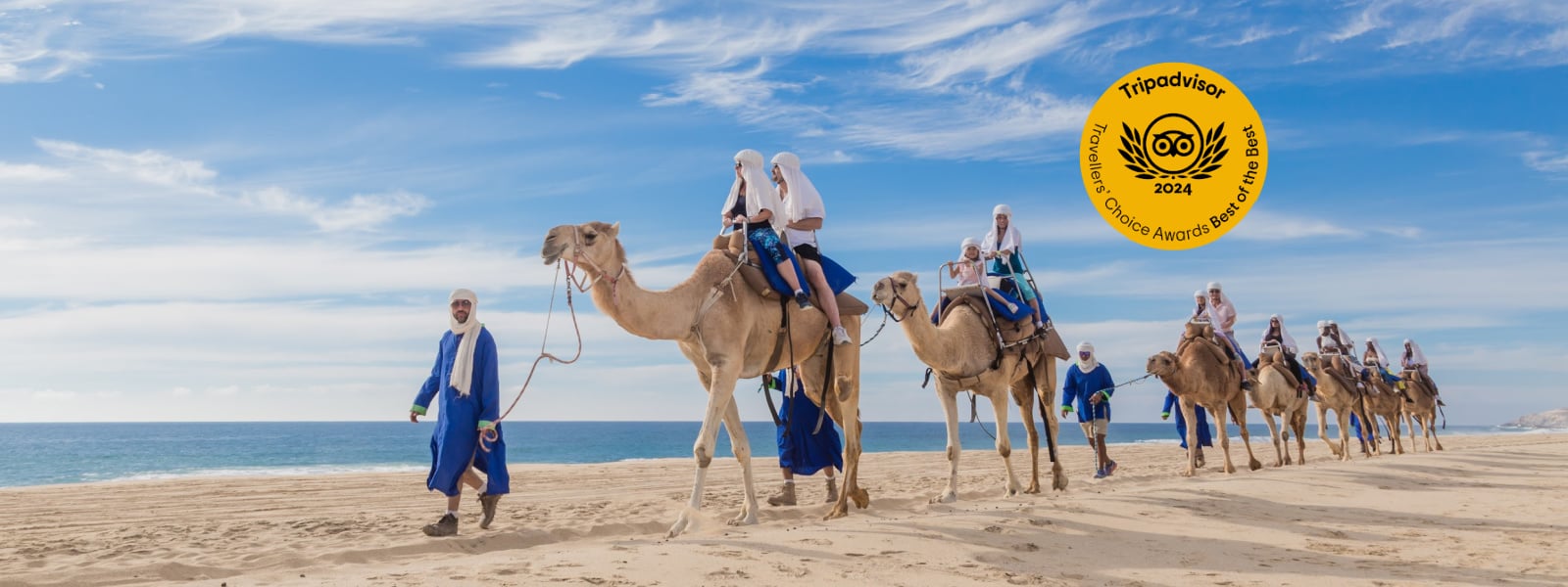 Camel Tour Cabo | Cabo Adventures