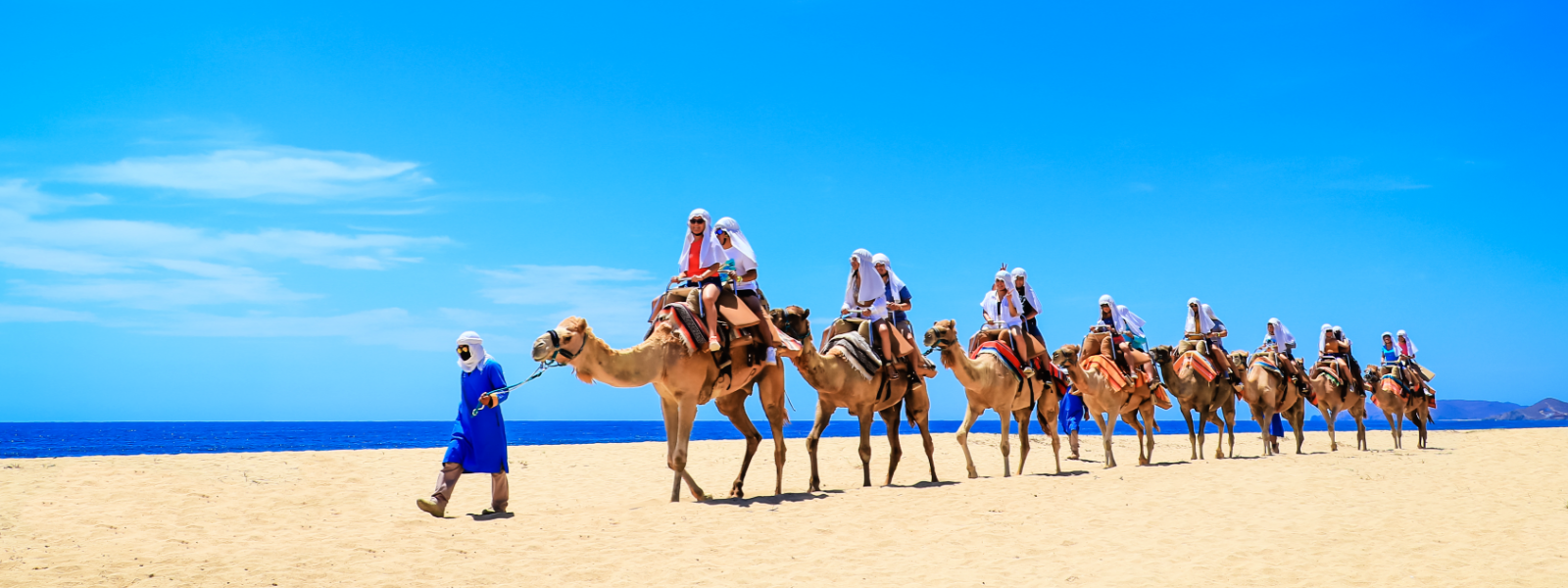 camel ride in cabo 