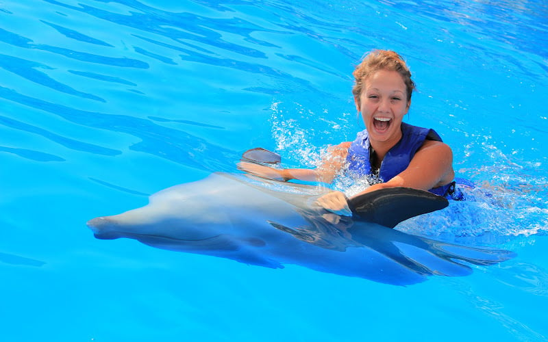 Experiencia con Delfines en Cabo con Cabo Adventures 1|