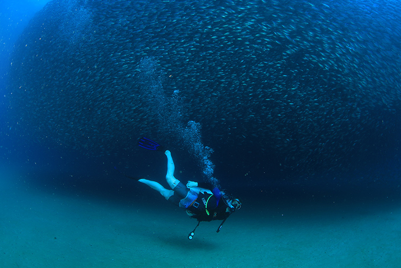 scuba diving in cabo san lucas