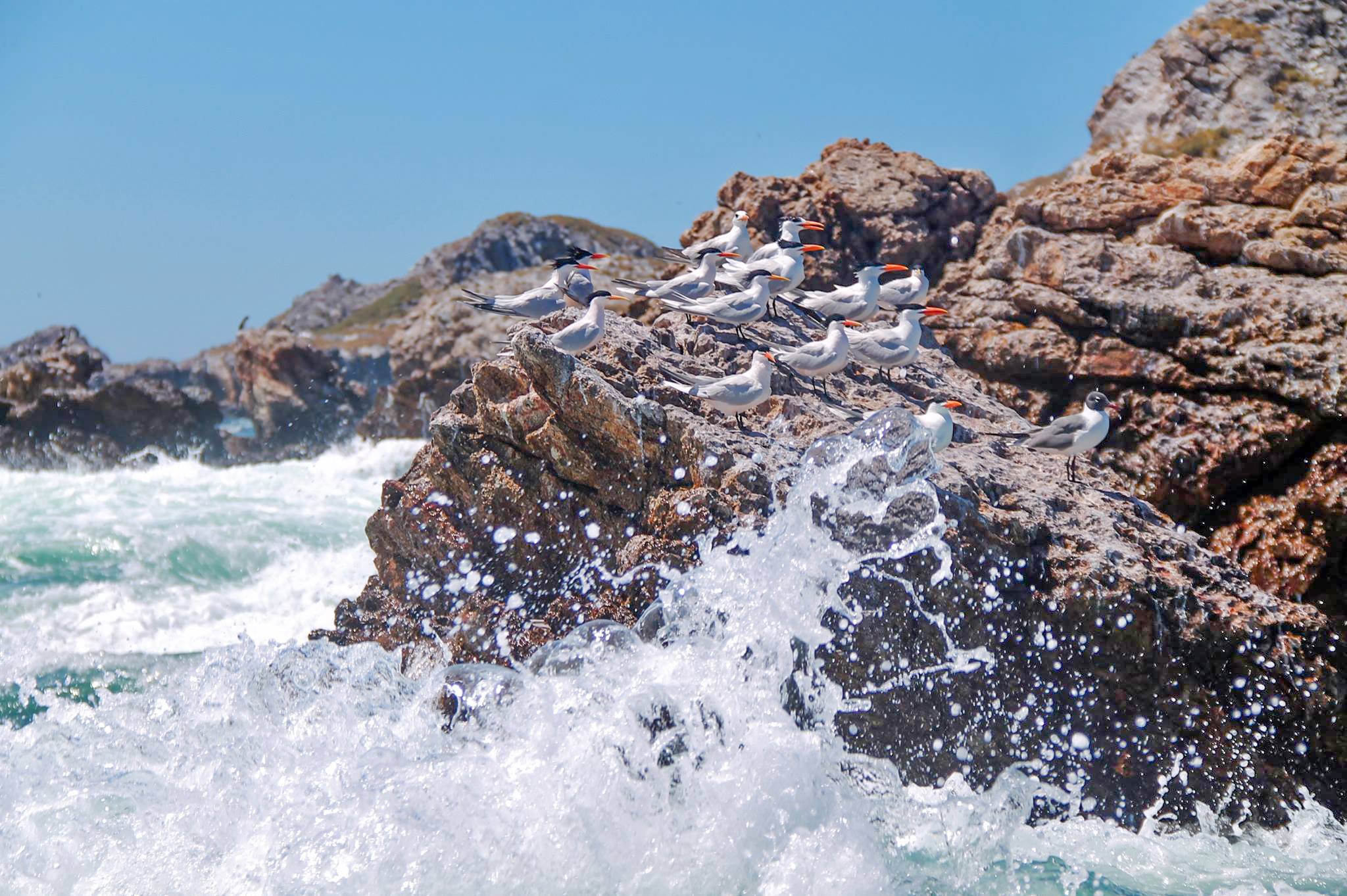 Rocks and seagulls at the islas marietas 