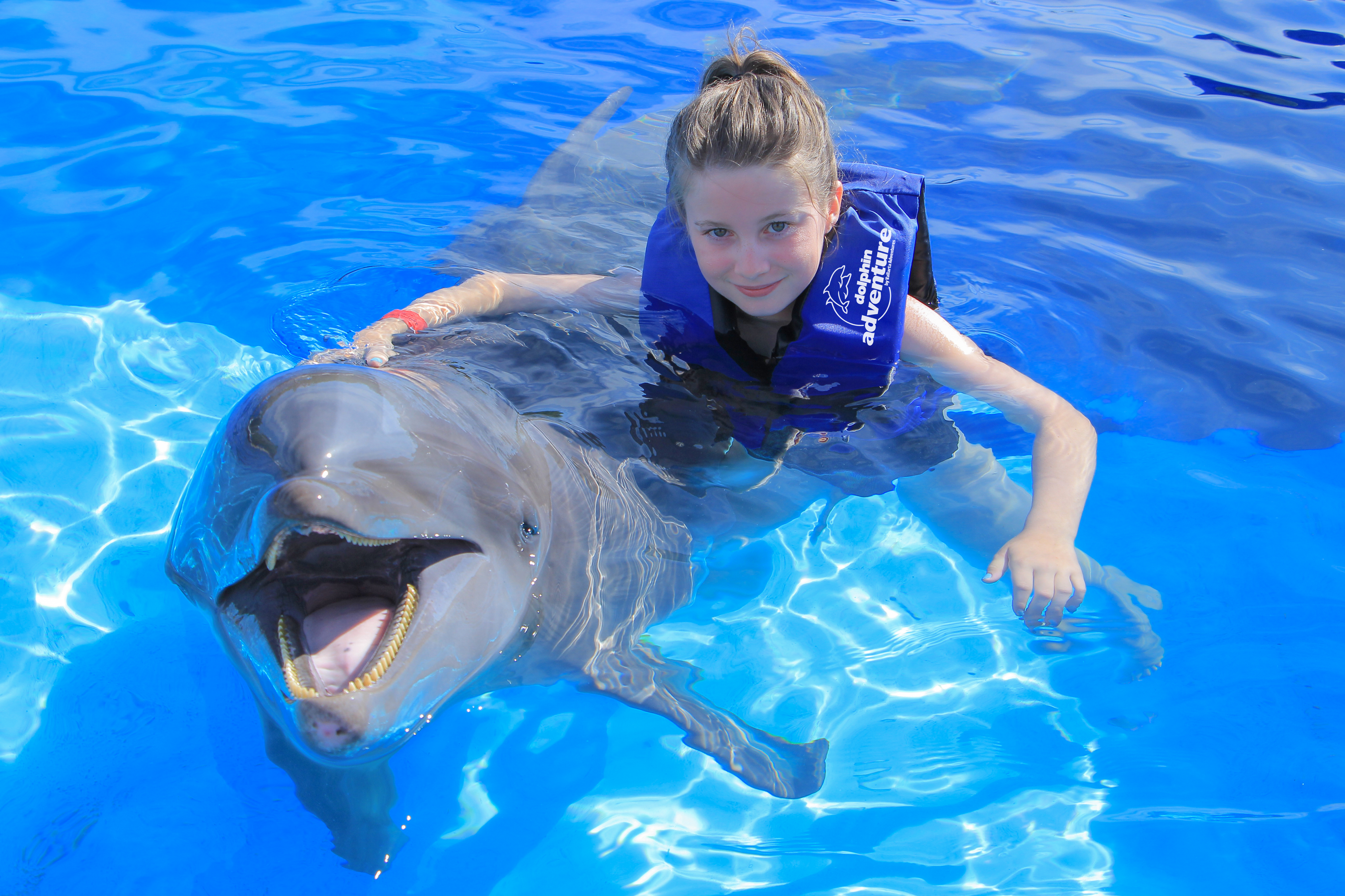 Dolphin interaction | Vallarta Adventures