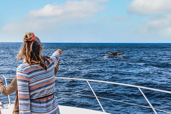 Two women pointing at whale in the sea while on a small group tour in Cabo