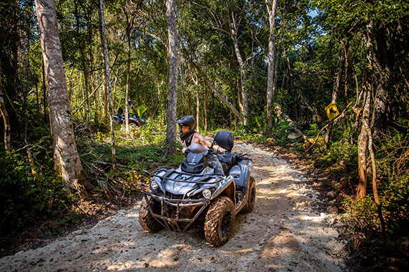 Speed Along Winding Jungle Trails on an ATV