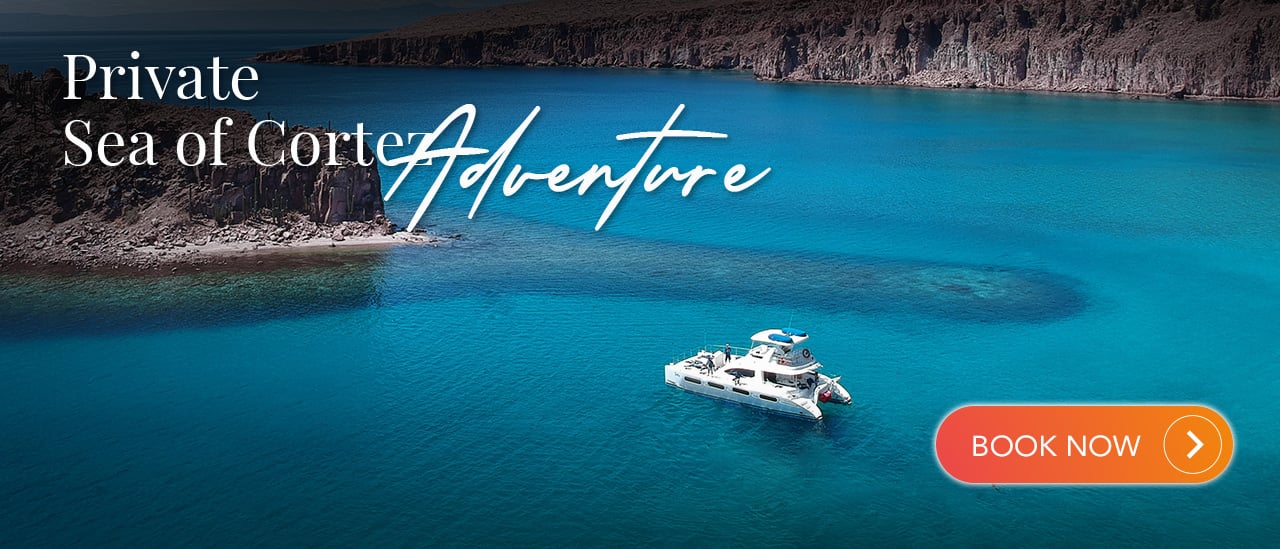 Private Sea of Cortez Adventure | Cabo Adventures