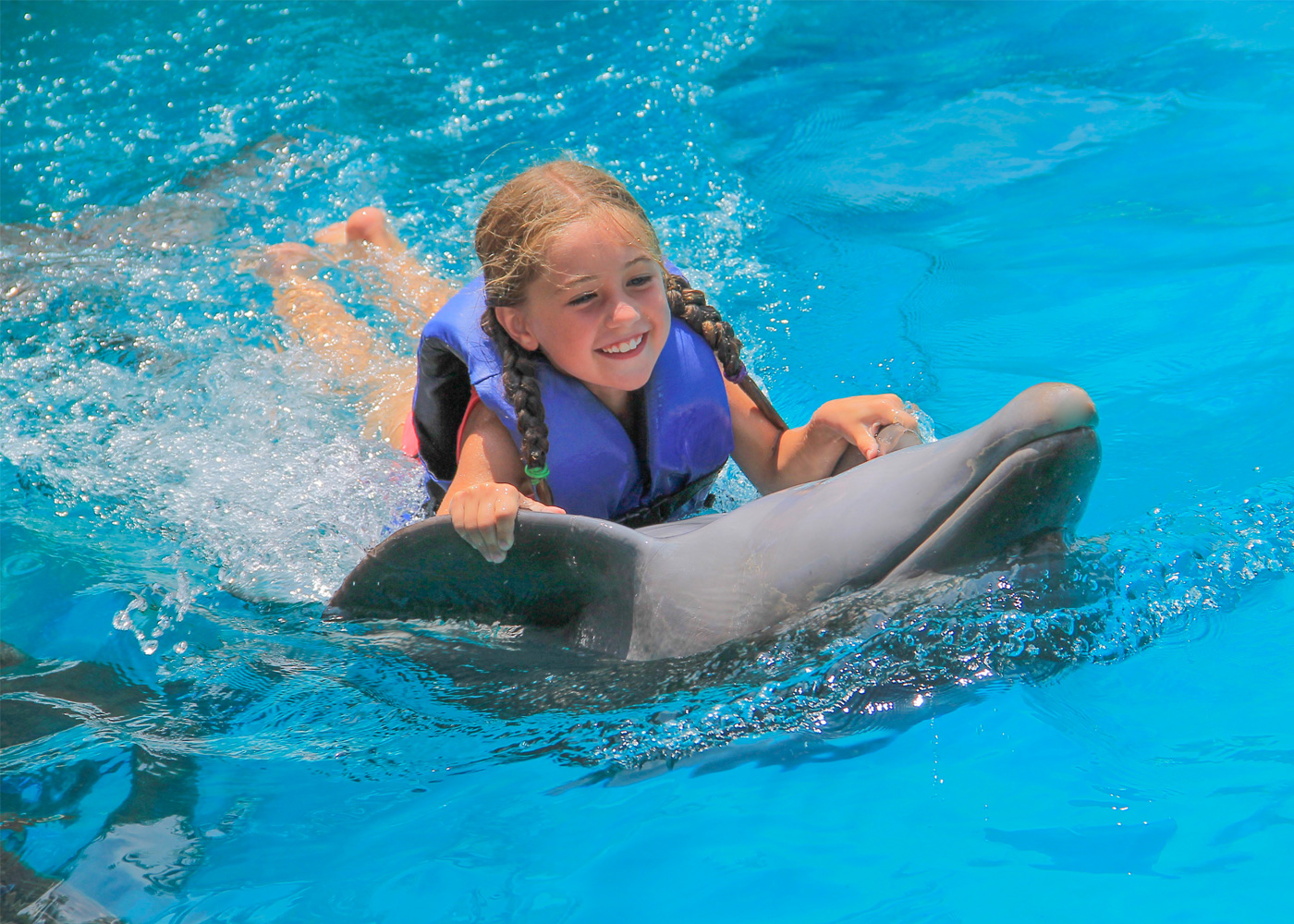 Little girl taking a dolphin ride