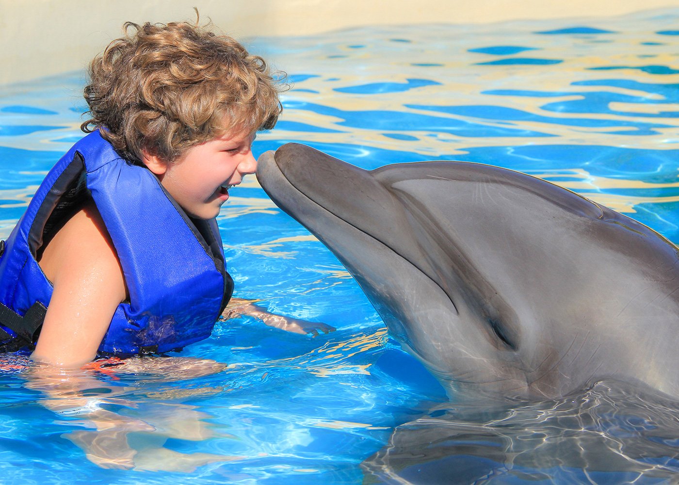 Kids dolphin interaction | Vallarta Adventures
