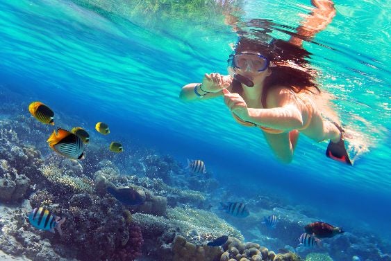 Take part in a snorkeling tour to experience why Cozumel is one of the world’s favourite places to snorkel