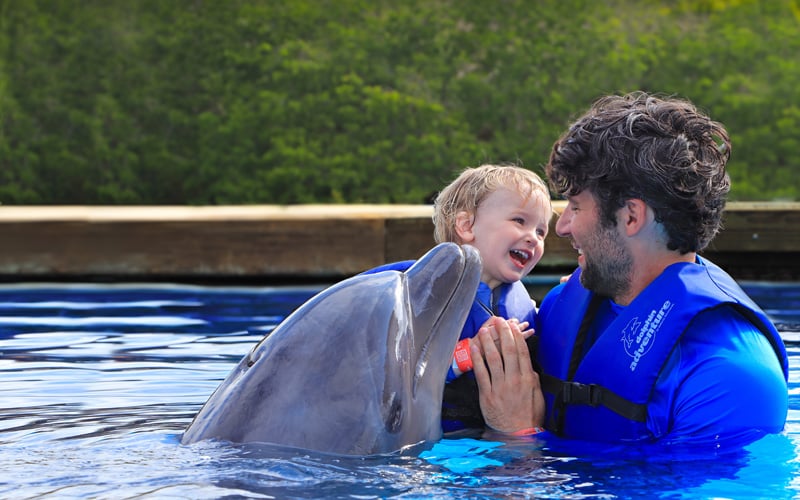 dad and son sharing a moment with a dolphin