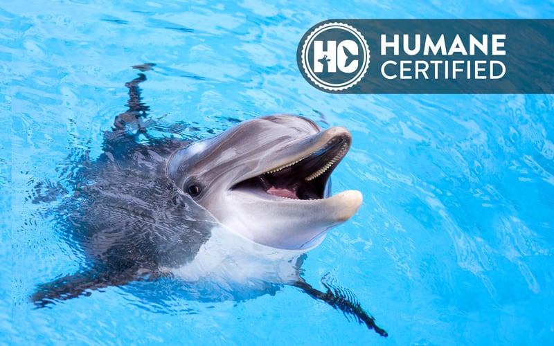 Vallarta Adventures marine mammal center is Humane Certified